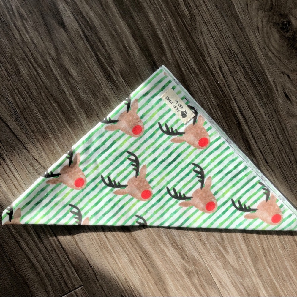 Watercolor Rudolph Holiday Dog Bandana
